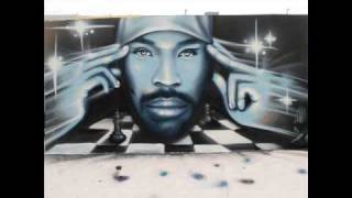 RZA as bobby digital  shady (feat intrigue)