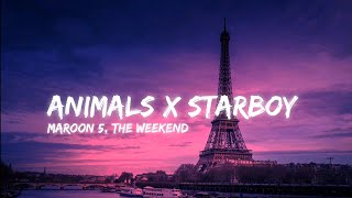 Animals X Starboy | Maroon 5 & The Weekend | [ Sped Up ] | (Lyrics)