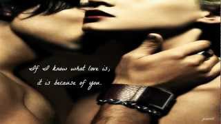 Talon Haynes - Say It Today