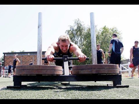 Welcome To Wasps - Dan Robson