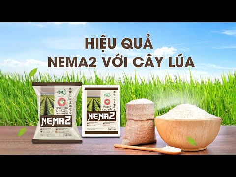 NEMA2- SẢN PHẨM CẢI TẠO ĐẤT 48 HIỆU QUẢ VỚI CÂY TRỒNG