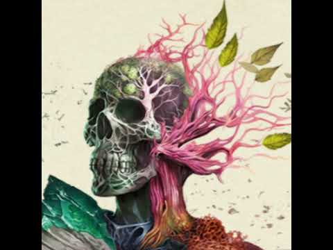 Ep. #14: the Dyrwood, Pt. I + II