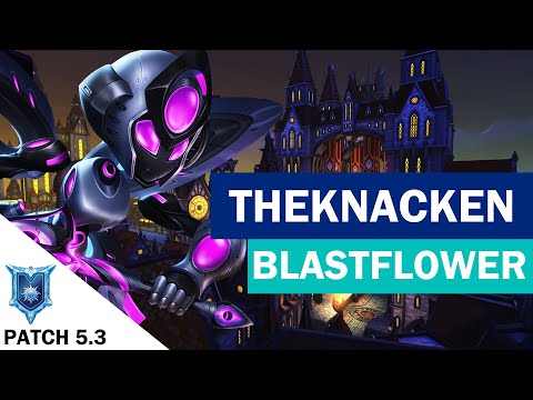 TheKnacken Willo Competitive (Diamond) BLASTFLOWER