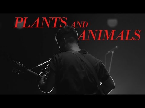 Plants and Animals | Live at Massey Hall - December 1, 2016