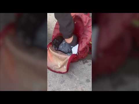 La Policía de la Ciudad detuvo a un hombre que intentó evadir un control y se tiró a un arroyo desde una altura de ocho metros con 16 mil dólares y casi 3 millones de pesos