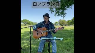 白いブランコ #歌ってみた #ギター #弾き語り #昭和歌謡カバー #cover #癒し音楽 ＃河川敷で歌いました