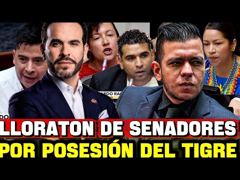 SENADORES ENOJADOS Y LLORANDO 😭 POR LA POSESIÓN DE ABELARDO 🐯