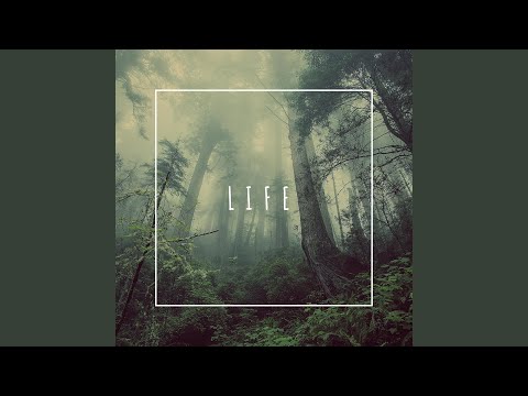 Video thumbnail for Sorry