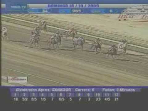 Resumen Domingo 18 de Octubre de 2009 La Rinconada