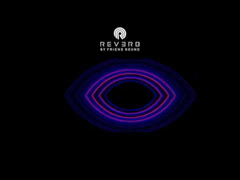 Reverb Vol. X // By David del Olmo