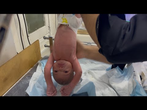 Newborn Baby Delay Cry After Resuscitation | IV Line Insertion Step by Step in NICU Care 💉 #nicucare