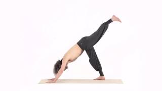 MONTE MERU, VARIAZIONE 1 MANO 1 PIEDE – MERU ASANA