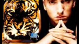 Eminem vs Eye Of The Tiger.flv