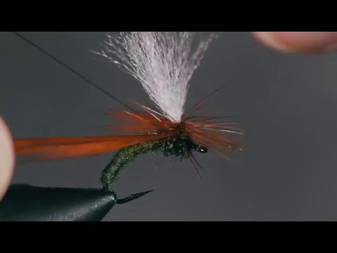 Klinkhåmer Special pintaperho - H.S.C. perhonsidonta-kurssi.