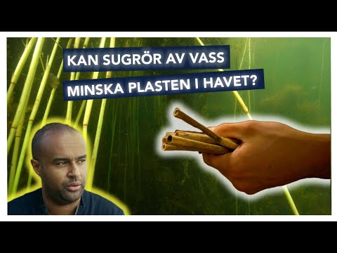 Straws made of reeds can reduce plastics in the seas