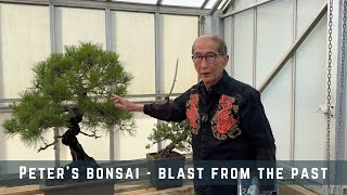 Download lagu Peter's Bonsai - Blasts From the Past mp3 Download lagu Peter's Bonsai - Blasts From the Past mp3