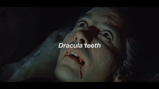 drácula teeth // the last shadow puppets lyrics