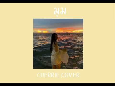 Playground - มุม | cover by Cherrie [castella]