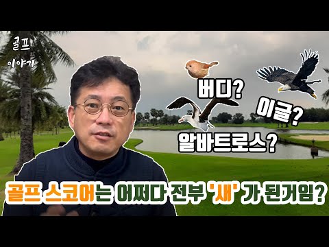 버디, 이글, 알바트로스? 골프 스코어는 어쩌다 전부 새 이름이 되었을까?
