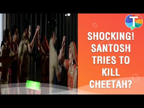 WHAT! Santosh tries to KILL Cheetah? Maddam Sir update