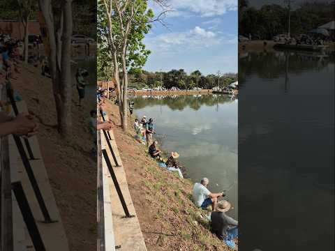 Torneio de pesca #pescaria #tocantins #formoso
