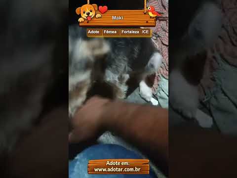 Vídeo de Maki