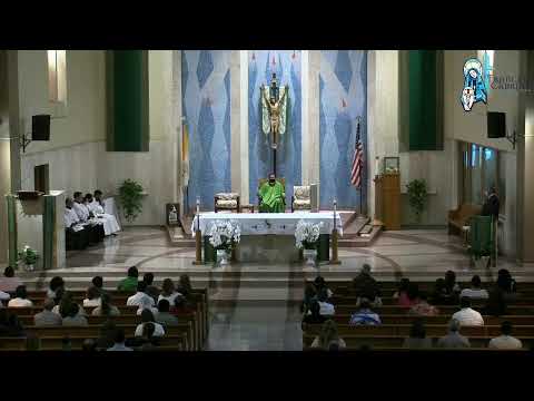 XXI Domingo Ordinario 8/21/2022