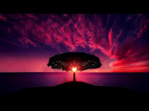 The Sun Goes Down  -  Lvly feat. Mia Pfirrman, STRLGHT