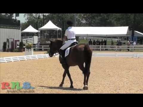 1st Place - Individual Young Rider Dressage