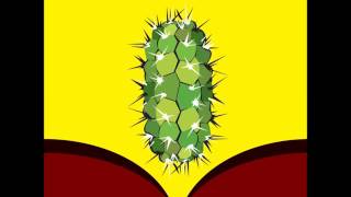 Babasonicos - Los calientes (AUDIO)