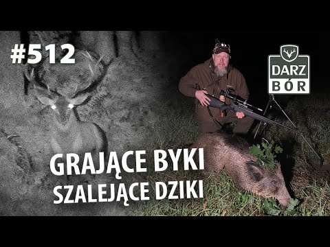 Darz Bór odc. 512 Rykowisko i Dziki.