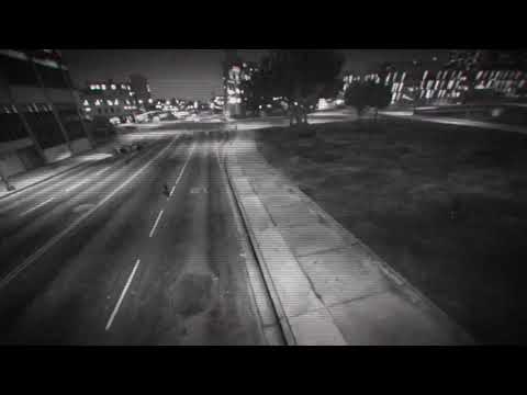 Blako3T et Brasko3T Veskiiiii les keufs!