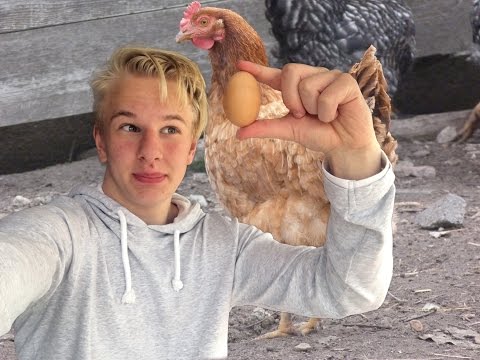 akaratlan erekció a tengerparton ne tedd a péniszbe