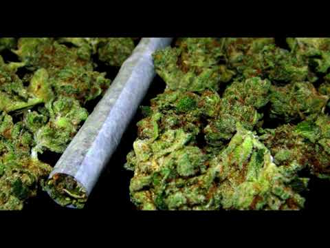 Kajman ft  Buszu, Dejan, Borixon, Sitek  - Radio 5g Fm ( Macbeat Blend ) #420