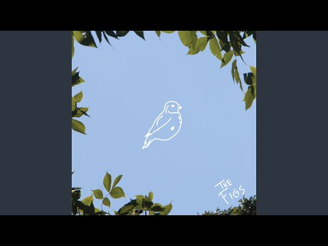 Canary Bird - The Figs