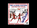 The Lijadu Sisters - Life Is Gone Down Low
