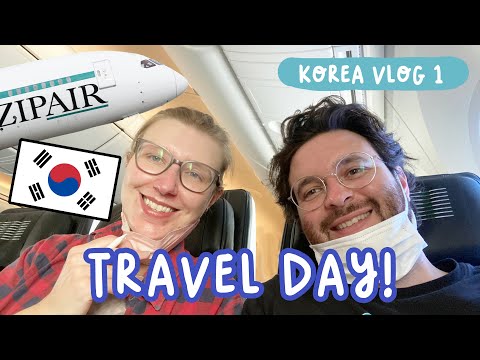 Off to SOUTH KOREA! Travel Day Tokyo to Seoul - Korea Vlog 1