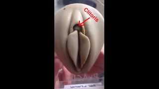 Labiaplasty Edge/Wedge Technique