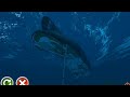 Cargo Steamer Capsized Ship Handling Simulator
