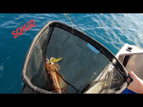 Fishing for squid off of Hillary’s boat Harbour (WA)