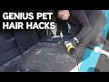 Remove Dog hair from car the EASY WAY with this Hack!