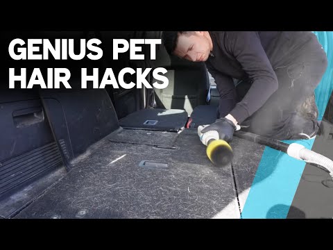 Remove DOG HAIR from Your Car the EASY WAY with this...