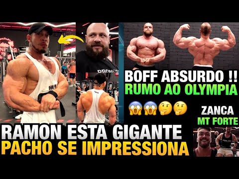RAMON GIGANTE BUGOU O PACHOLOK - ZANCA ESTÁ MUITO FORTE - VITOR BOFF INSANO + CORREA NA FIBRA