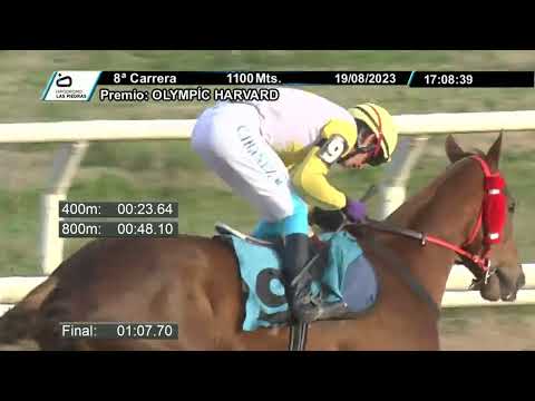 230819 c08  - 1 PRINCIPITO - HIPODROMO LAS PIEDRAS