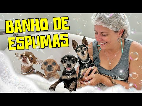 MEUS CACHORROS GANHARAM UM BANHO NA BANHEIRA DE ESPUMAS 🫧