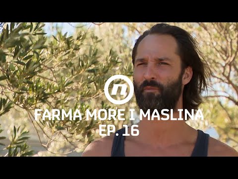 Duelisti se opraštaju od farmera - Epizoda 16 | Farma More i Maslina
