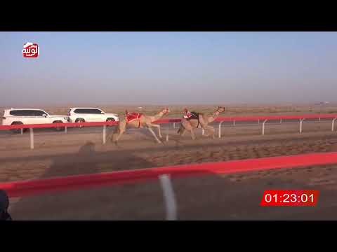  ش 9 (الشاهينيه) لـ سعيد بخيت النوبي العامري 3:16:13 ، شارة الصندوق 2026/08/28 فطامين الوقن