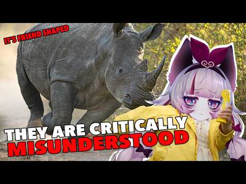 The Loveable Tank | They Lied About Rhinos and You Believed Them | Casual Geographic Reaction