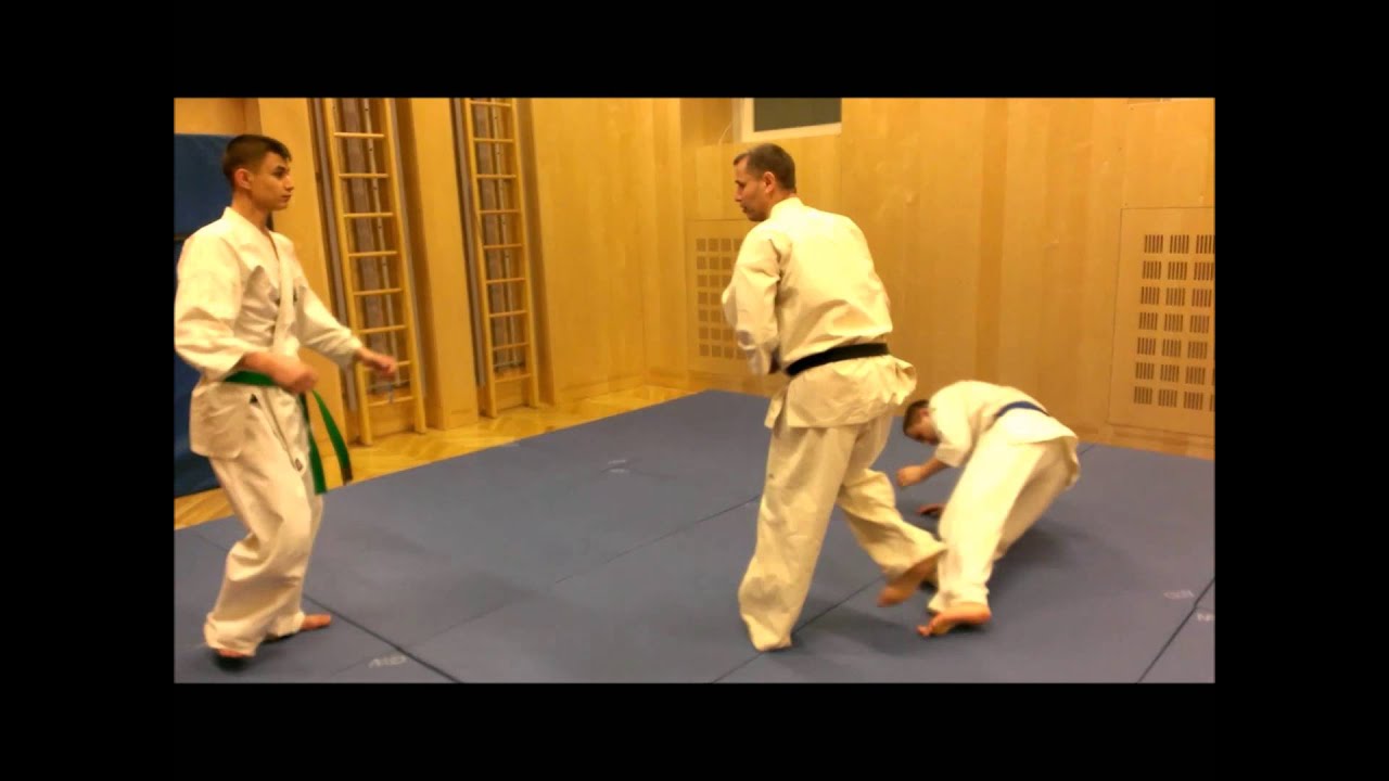 Latar Do. Universal Martial Arts. Selfdefense