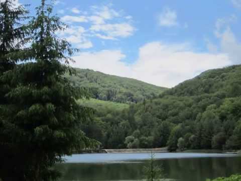 Pelerinaj- Mănăstirea Almăj -- Putna,Schitul Nicolinţ din CS